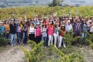 Vi, territori i sensibilitat social