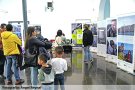 Educar per la cultura de la pau