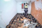 Troben un miler de plantes en un pis on el jutjat havia negat l’accés