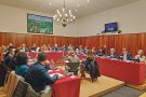 La comissió per modificar el Reglament municipal de <a href=