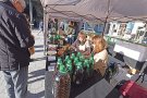 L’oli local es presenta en societat