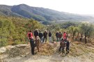 Desbrossen 48,57 ha del coll de Panissars per alentir la propagació de possibles focs