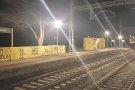 Camallera demana a Adif més millores a l’estació de tren