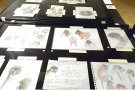 Castelló d’Empúries acull una mostra d’art basada en ciència