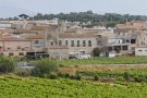 Capmany celebra la seva festa major d’hivern amb Carles Xuriguera, teatre i molt més