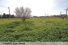 La capitalitat s’esfuma i marxa cap a Balaguer