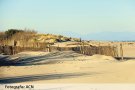 La restauració natural de les dunes de Sant Pere hi va mitigar els efectes del temporal