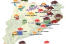 L’Alt Empordà continua sent la comarca amb més densitat de senglars de Catalunya