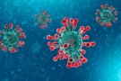 Falses alarmes de coronavirus a Figueres