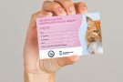 Donen carnets als autoritzats per alimentar gats del carrer