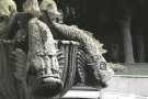 El Balcó: 'La font i els dies'