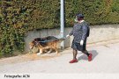 ‘Junts passegem per tu’ s’amplia a vuit municipis