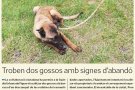 VilaDescans acollirà gossos de sanitaris i de malalts mentre duri l’estat d’alarma