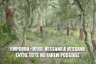 Cinc municipis de la comarca preparen un pla de gestió forestal que abasta 3.855 hectàrees
