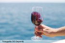 Uns 360 vins es poden comprar en línia al web de la DO Empordà