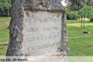 El Parc Bosc de <a href=