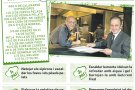 Amanida de faves i pèsols a la menta amb calamarsons, del xef Xavier Sagristà