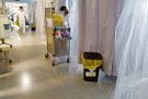 La FSE rep 149.683,96 € per a la lluita contra la Covid-19, fruit de 125 donacions