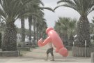 «Què és això de fer vacances?»