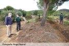 Pau comença a retirar cinc espècies de cactus invasors