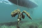 Protegir el pulmó del Mediterrani