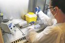 La Fundació Salut Empordà té capacitat per analitzar 500 proves PCR cada dia