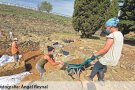Els treballs a la Ciutadella desenterren prop de 1.300 metres quadrats de vila medieval