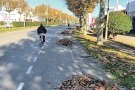 Prova pilot per substituir tots els plataners d’Empuriabrava