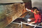 El Museu Cúria-Presó restaura dues de les bigues originals