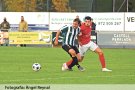 Golejada i colideratge