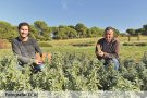 'No hem pogut promocionar el nou producte i el nombre de vendes no ha sigut tan alt'