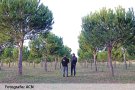 El sector del pinyó, a l’espera d’una normativa que eviti furts