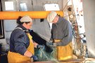 Fomenten la col·laboració entre pescadors i científics