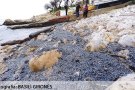 Les ‘Barquetes de Sant Pere’ inunden la cala de la Creu