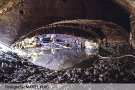 La mina de la Farinera gaudeix de bona salut