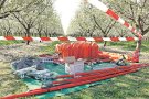 Nova inversió d’Endesa per evitar l’electrocució d’aus
