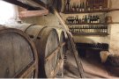 Troballes sobre el patrimoni del vi