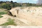 Descobreixen part del fossat de l’antic Castell de Palol Sabaldòria