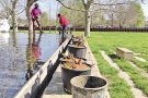 Naturalitzen una bassa per a potenciar-hi la biodiversitat
