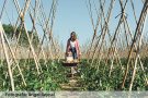 Directes de l’hort a la taula