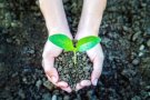 El programa  «Eco-competents» s’inicia als centres educatius