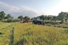 Fomentant la biodiversitat en el dall