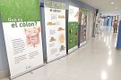 La importància dels programes sobre el càncer de colon i recte