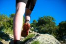 La Marxa de la Cirera de Terrades, suspesa