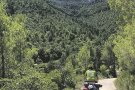 Una doble recuperació