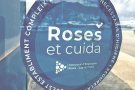 S’actualitza l’acció '<a href=