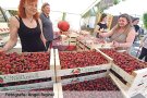 Torna la Fira-Mercat de la Cirera de Terrades amb la vint-i-quatrena edició