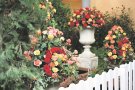 La Fira de la Rosa a punt per tornar a florir