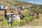 El Vívid tanca la setena edició amb més de 1.200 participants
