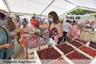 El roig de la cirera pinta els carrers de Terrades